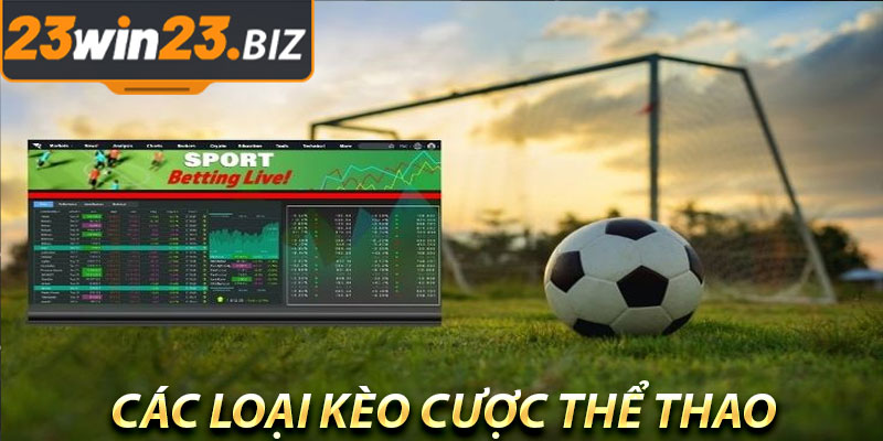 Cá Cược Thể Thao Online: Xu Hướng Giải Trí Mới Của Năm 2024 3 Các Loại Kèo Cược Thể Thao Online Phổ Biến