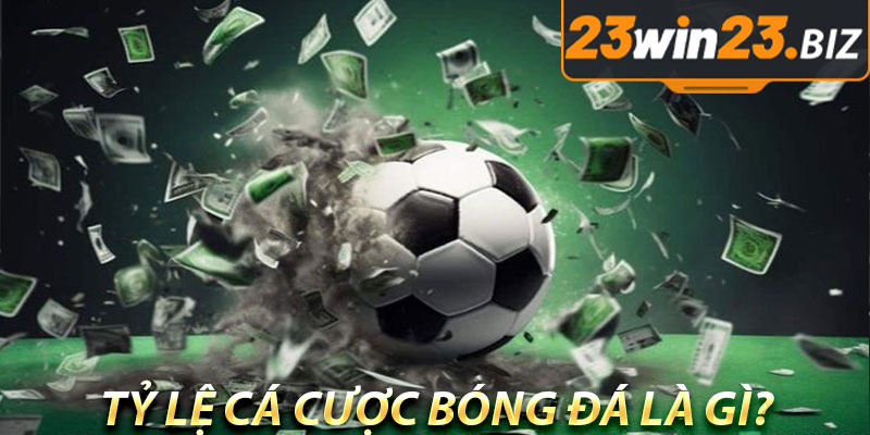 Tỷ Lệ Cá Cược Bóng Đá Hôm Nay: Hướng Dẫn Chi Tiết và Cách Đọc Tỷ Lệ Hiệu Quả 2 Tỷ Lệ Cá Cược Bóng Đá Là Gì?